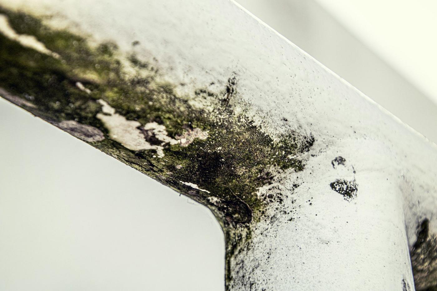 Dark mold growing along the corner of a white window frame